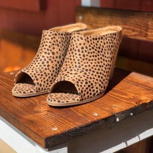 𝓢𝓹𝓸𝓽𝓼 𝓼𝓸 𝓬𝓱𝓲𝓬